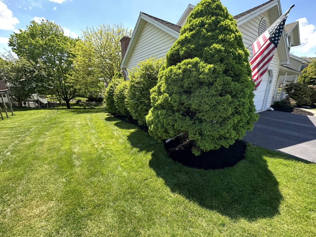 Landscape Edging for Small Yards: Maximizing Space and Design – Ingold Landscaping landscape edging