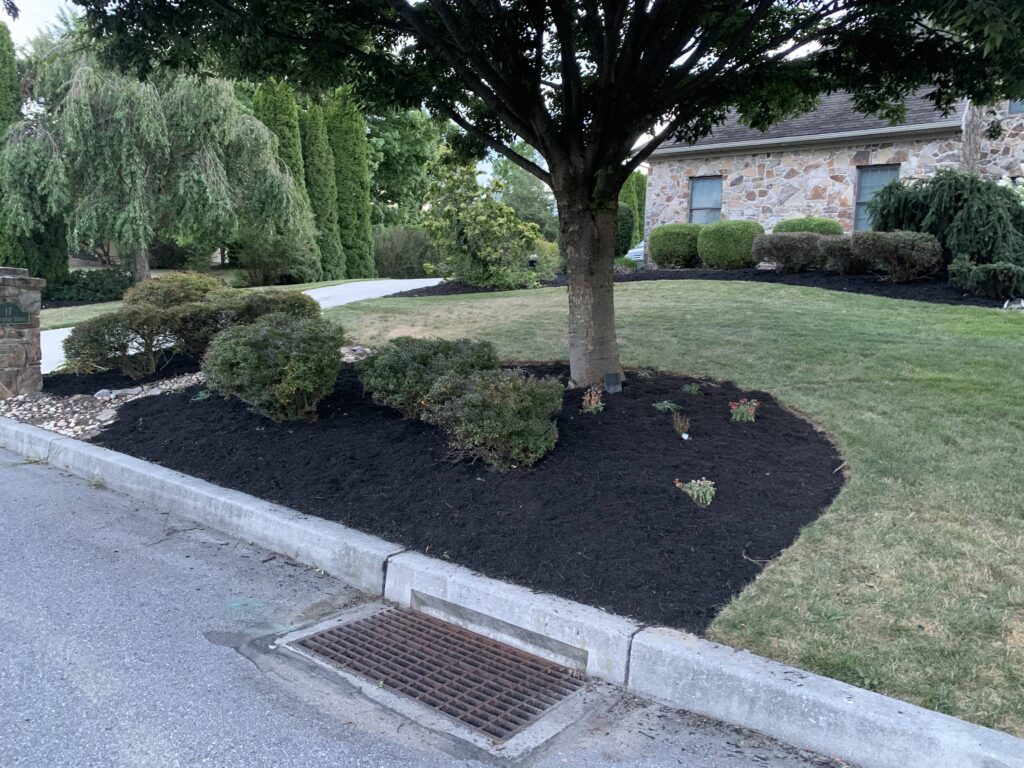 A black mulch bed in front of a house.