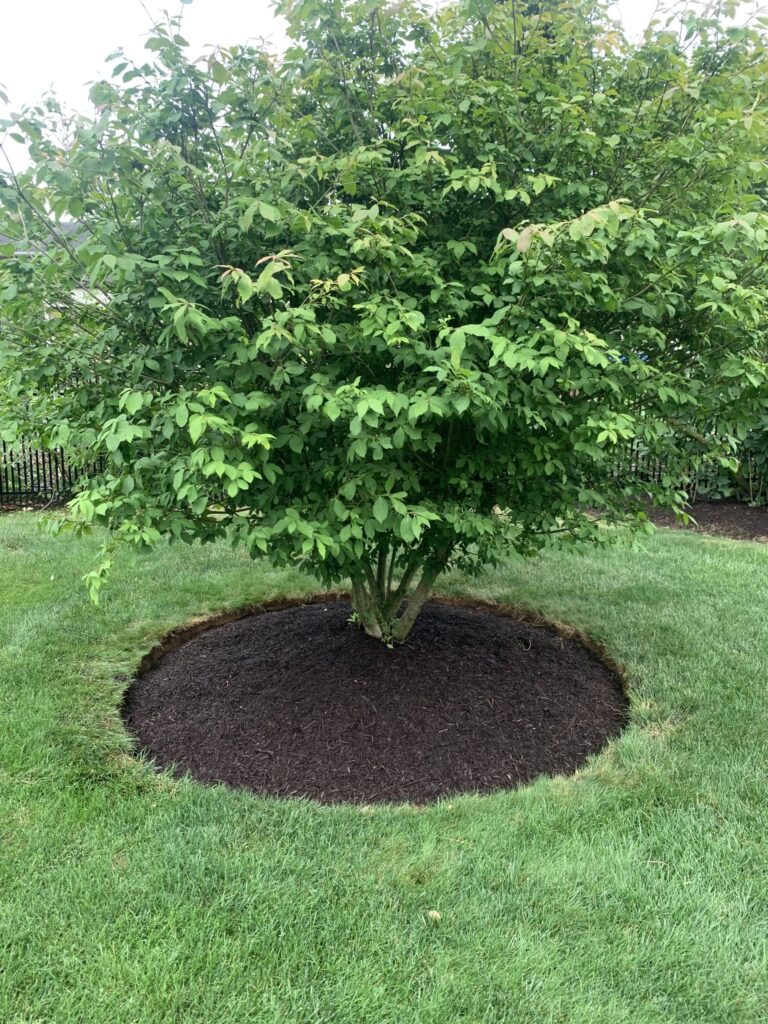 Edging and mulching services
