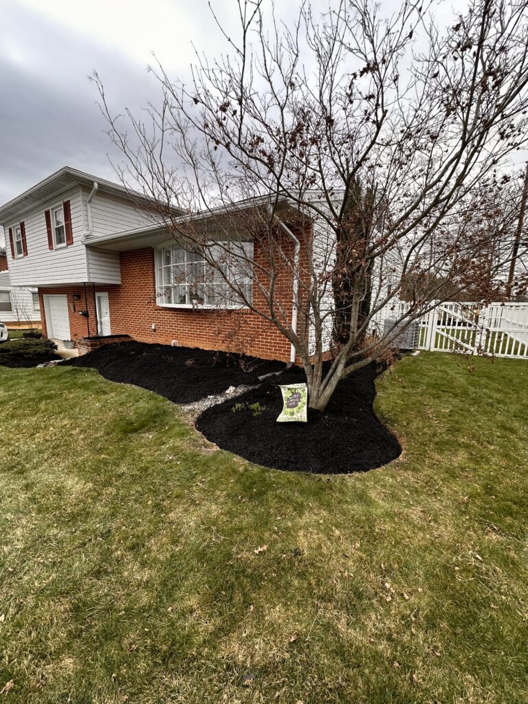 mulching project