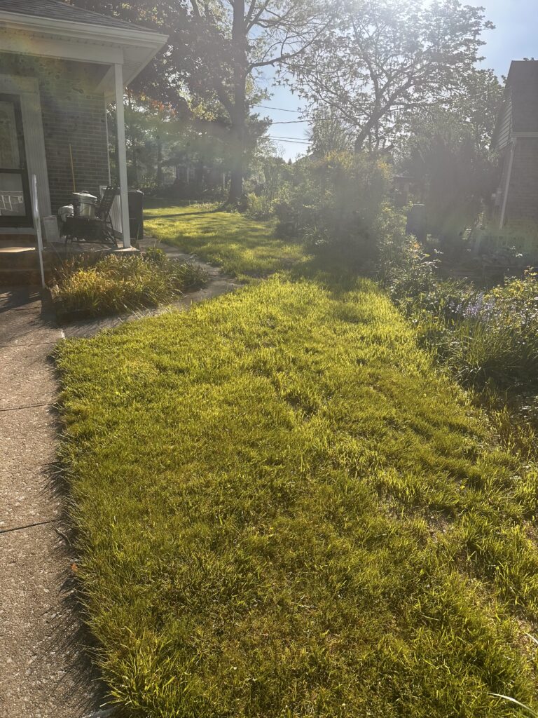 Downspout Drainage Installation
