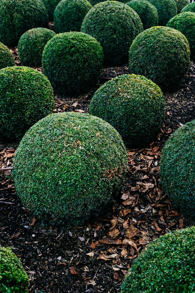 Refresh Your Yard This Spring: Low Maintenance Landscaping Ideas to Try – Ingold Landscaping Low Maintenance Landscaping