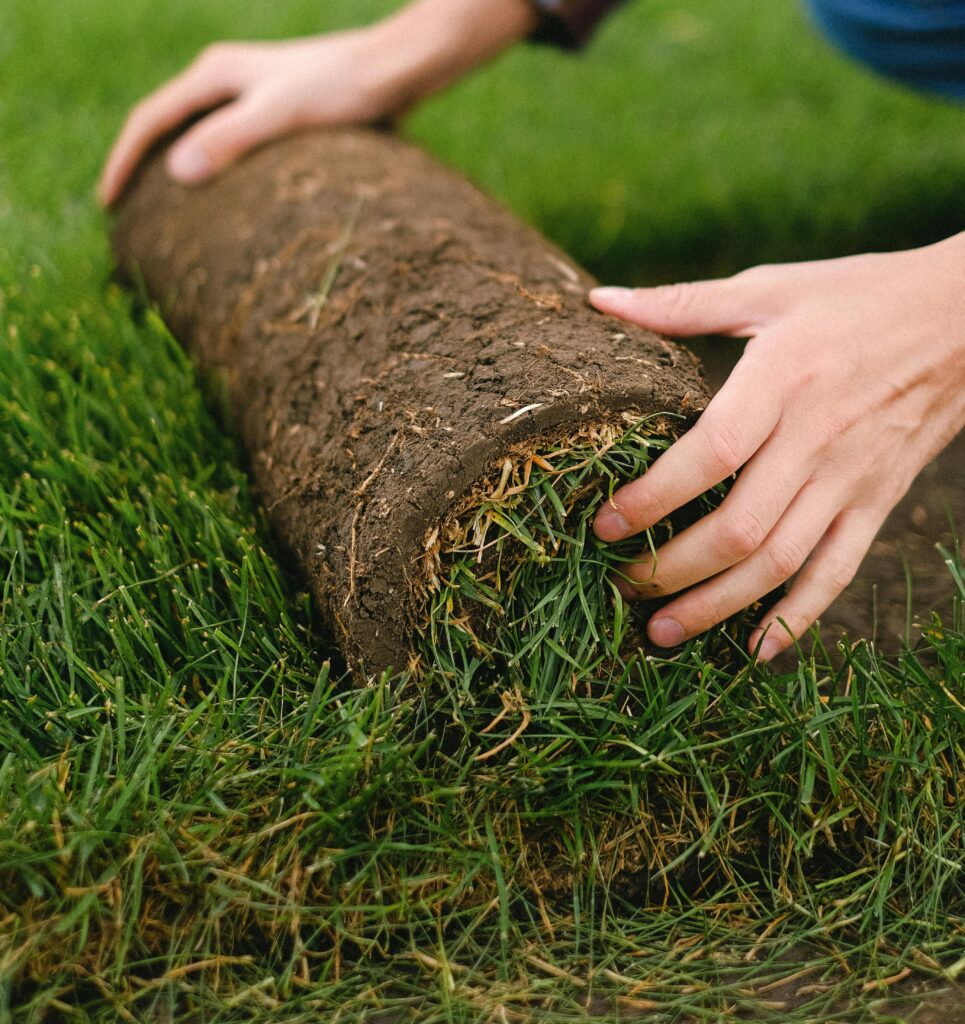Sod Installation: The Fastest Way to Fix a Patchy, Bare Lawn – Ingold Landscaping sod installation Mechanicsburg, PA