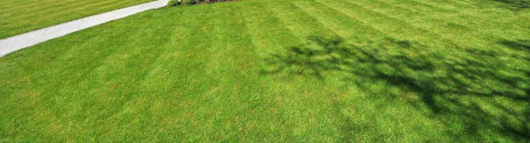sod installation