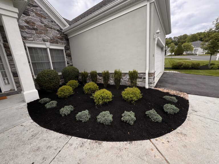 dyed vs natural mulch